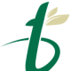 Tshikululu Social Investments logo
